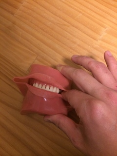 反対側の歯の頬側面に指を沿わせる